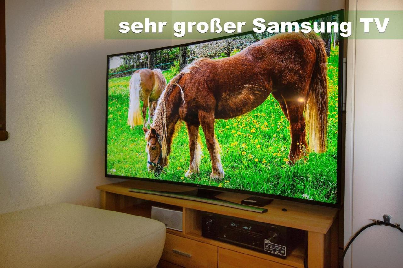 Wohlfuehl-Ferienwohnung 80 Qm, 8 Personen, Aussicht & Heimkino Todtnau Exterior photo